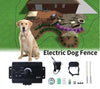 Invisible Electric Dog Fence