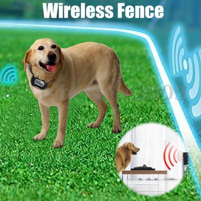 The Best Waterproof Dog Fence with Collar