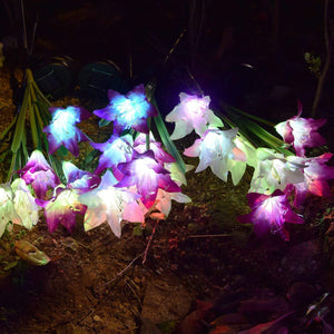 Solar Powered Flower Garden Lights (7 Colors Auto Changing LED Light)