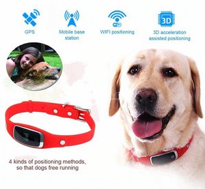 Intelligent Pet Tracker