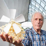Wind Bionic Robot