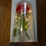 The Original Beauty And The Beast Rose