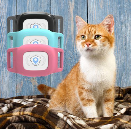 Cat GPS Tracker Tracking Collar Waterproof Adjustable