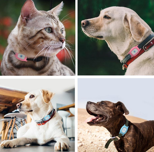 Cat GPS Tracker Tracking Collar Waterproof Adjustable