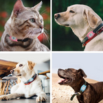 Cat GPS Tracker Tracking Collar Waterproof Adjustable