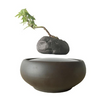 Levitating Bonsai