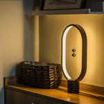 Designer Float Balance Lamp