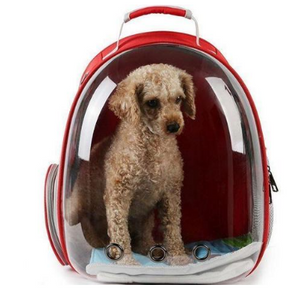 Pet Capsule Carrier Backpack