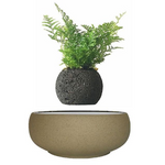 Levitating Bonsai