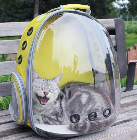 Pet Capsule Carrier Backpack