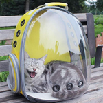 Pet Capsule Carrier Backpack