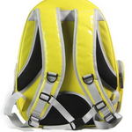 Pet Capsule Carrier Backpack