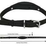 Intelligent Pet Tracker