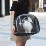 Folding Cats Carrier Bag