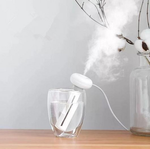 Portable Mini Water Bottle Caps Humidifier