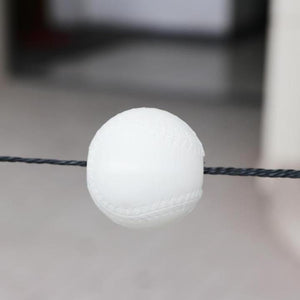 EasyCoach Softball Pitch Trainer