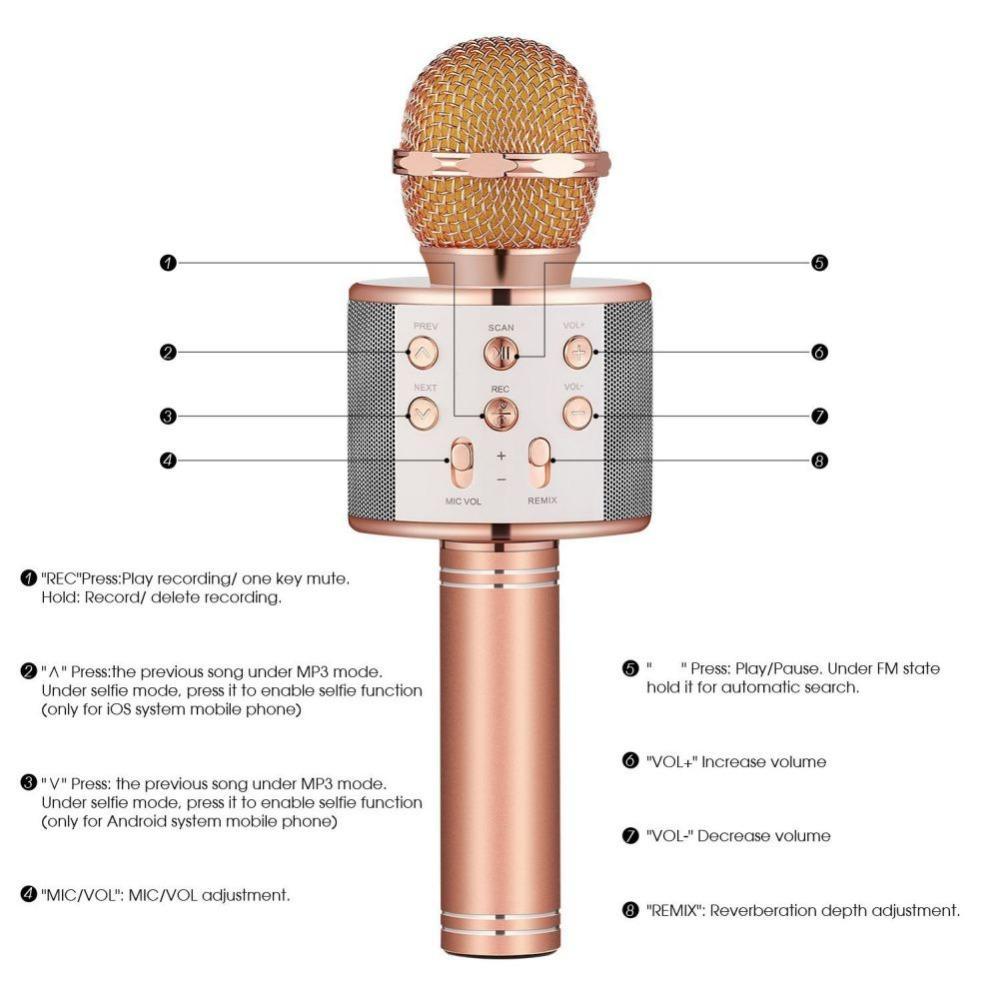 Portable Bluetooth Karaoke Microphone With Bluetooth Speaker