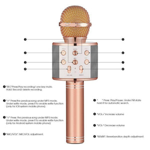 Portable Bluetooth Karaoke Microphone With Bluetooth Speaker