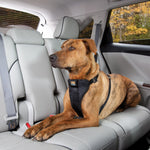 Kurgo Tru-Fit Enhanced Strength Crash Tested Smart Harness