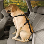 Kurgo Tru-Fit Enhanced Strength Crash Tested Smart Harness