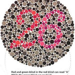 Corrective Color Blindness Glasses