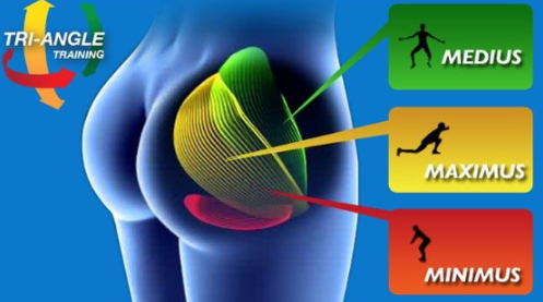 The #1 Butt Lift - Natural Butt Lift - EMS Hip Trainer