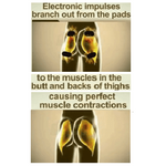The #1 Butt Lift - Natural Butt Lift - EMS Hip Trainer