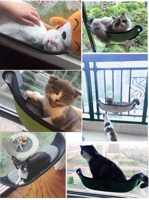 THE ORIGINAL CAT WINDOW HAMMOCK PERCH – CAT WINDOW BOX
