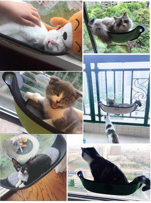 THE ORIGINAL CAT WINDOW HAMMOCK PERCH – CAT WINDOW BOX