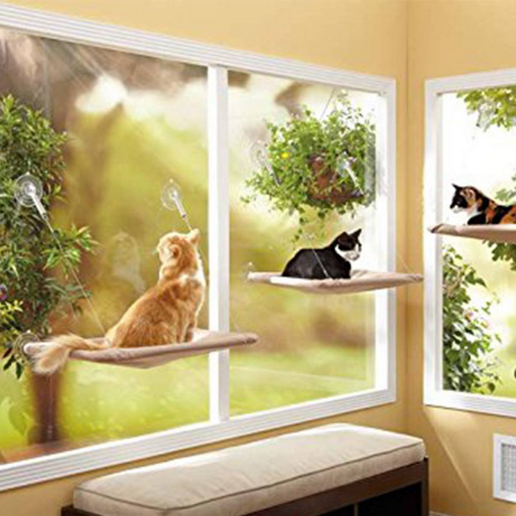 Cat Window Mounted Bed