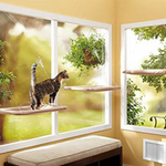 Cat Window Mounted Bed