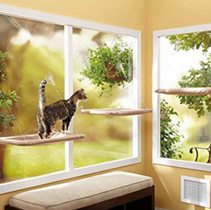 Cat Window Mounted Bed