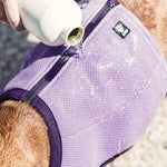 Evaporating Cooling Dog Vest