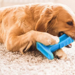 World's Most Effective Dog Toothbrush