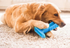 World's Most Effective Dog Toothbrush