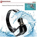 Wireless Dog Fence System