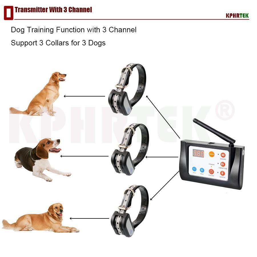 Wireless Dog Fence System