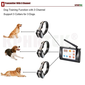 Wireless Dog Fence System