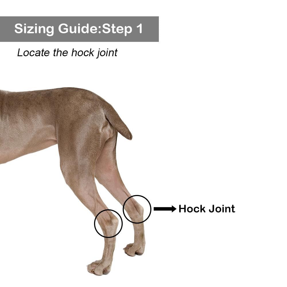 Dog Leg Brace