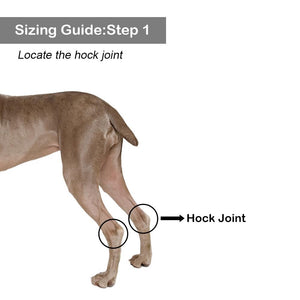 Dog Leg Brace