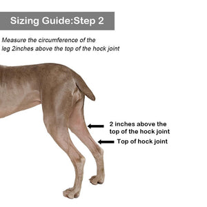 Dog Leg Brace
