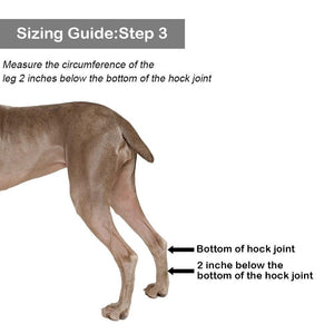 Dog Leg Brace