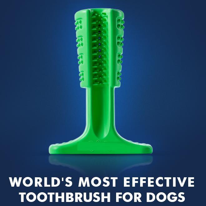 Dog Toothbrush