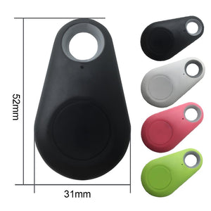 Bluetooth GPS Keychain Locator