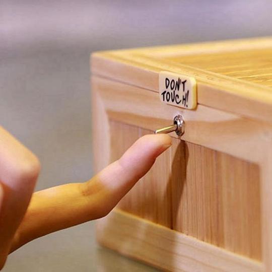 "Don't Touch!" Wooden Useless Box