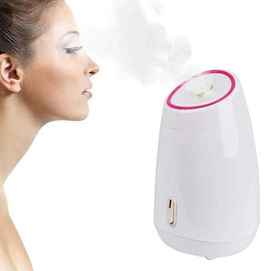 Facial Sauna - Nano Ionic Household Fruit Face Steamer