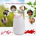 Facial Sauna - Nano Ionic Household Fruit Face Steamer