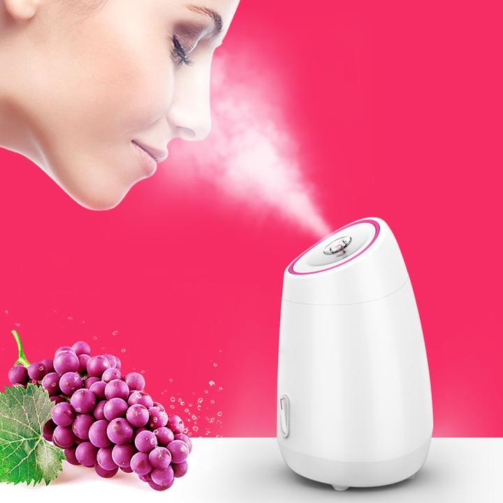 Facial Sauna - Nano Ionic Household Fruit Face Steamer