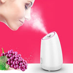 Facial Sauna - Nano Ionic Household Fruit Face Steamer