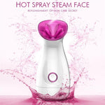 Facial Steamer